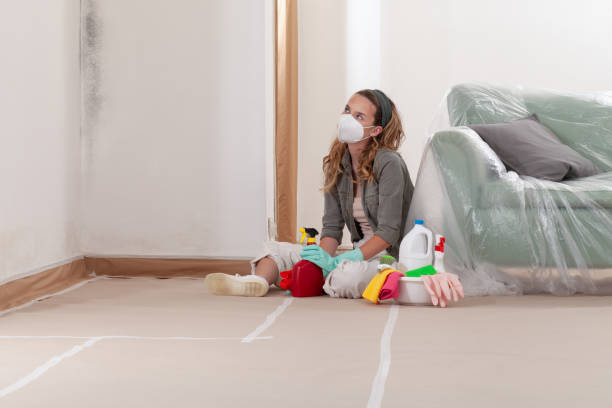 Reliable Mold Testing contractor in Marlton, NJ by WQB Mold Removal